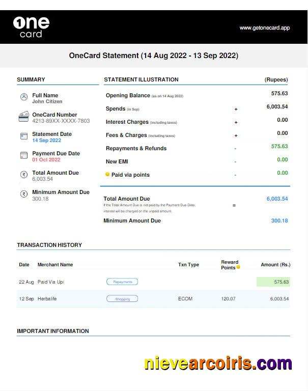USA 1ONE CARD statement Word and PDF